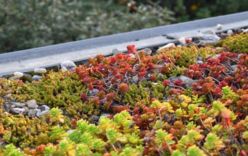the cost of Kingston St Mary green roof installation