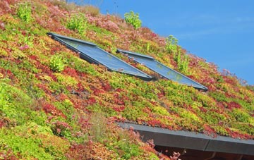 Kingston St Mary living roof systems